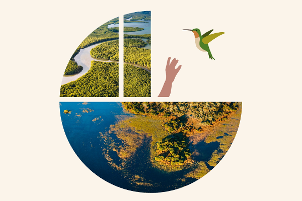 Das runde Logo zeigt drei Abschnitte: die Erde von oben, einen Flusslauf sowie eine Hand und einen fliegenden Vogel.