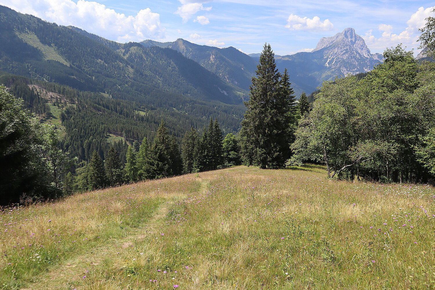 Blick in den Nationalpark Gesäuse.