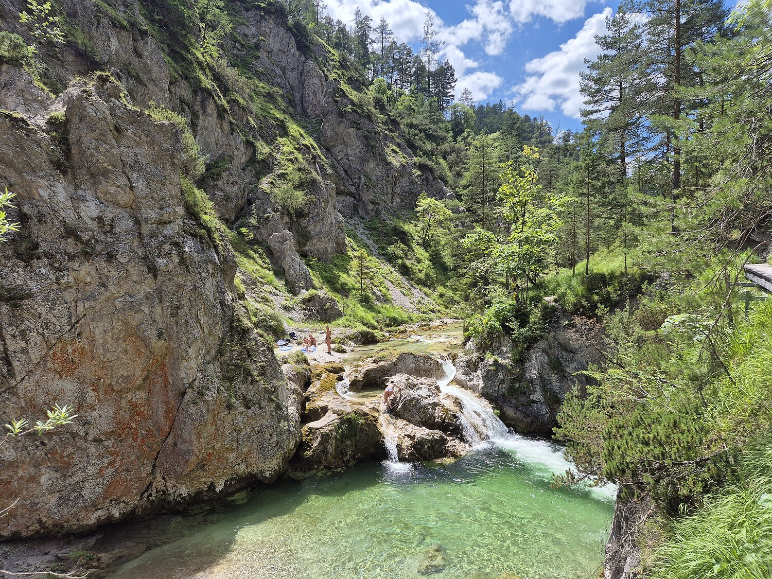 Blick auf das glasklare Wasser des Ötscherbaches in den Ötschergräben im Naturpark Ötscher-Tormäuer.