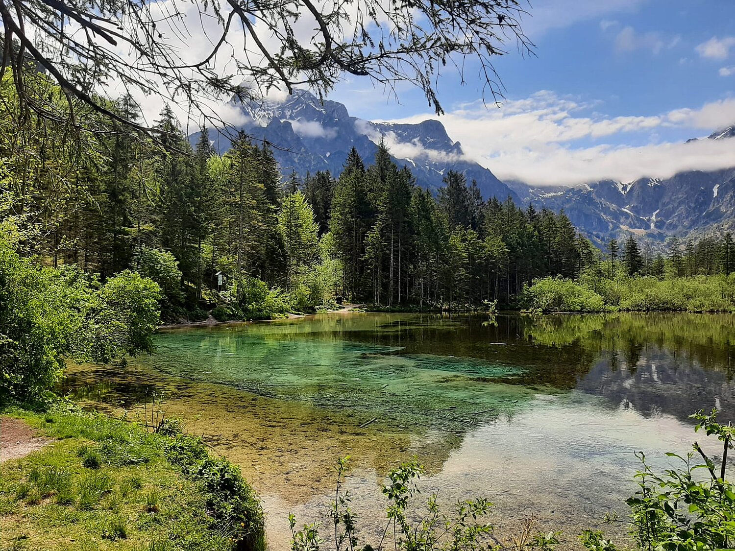 Blick auf den Almsee, ein Naturschutzgebiet im Almtal, vor der Bergkulisse des Toten Gebirges.