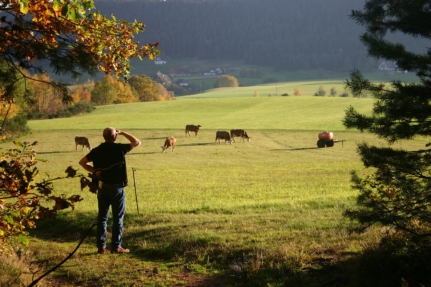 Foto Blick auf die Weide