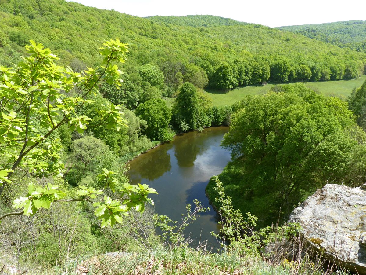 Blick auf die Thaya.