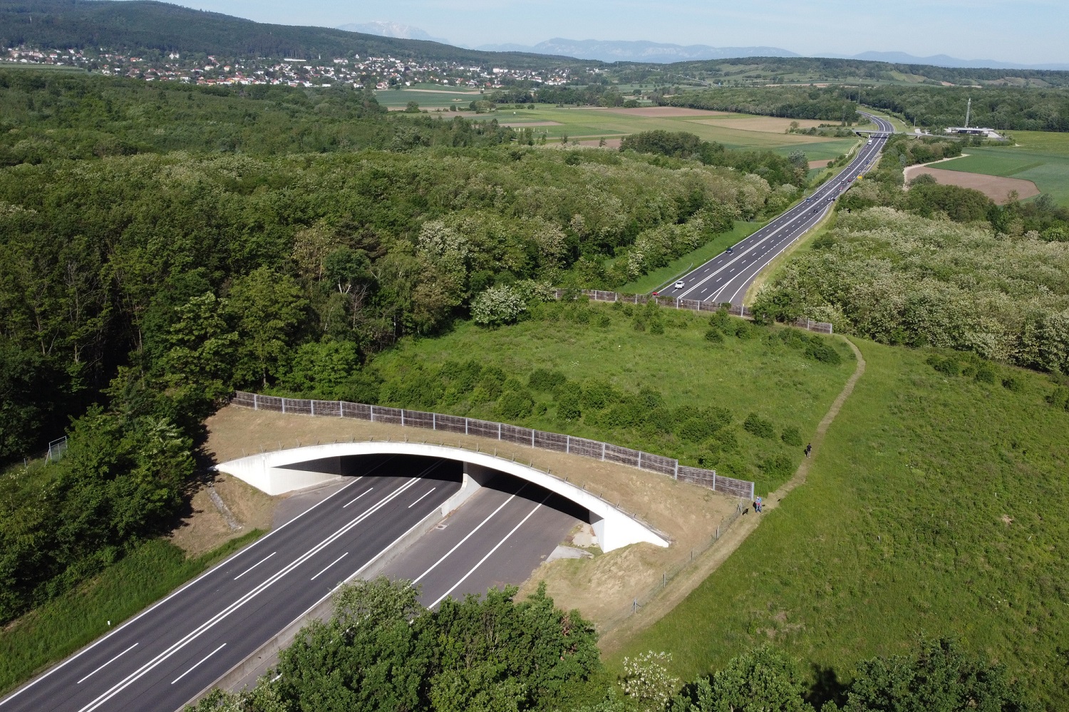 Grünbrücke über einer Straße 